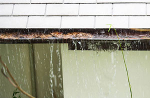 Sittingbourne Gutter Clearance